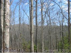 00 Cantrell Mountain Road #L13, Brevard, NC 28712