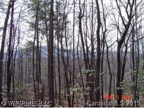 Lot #86 Volley Way, Saluda, NC 28773