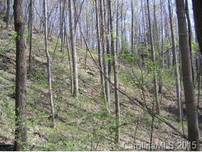 70 North Knob Lane (#10), Weaverville, NC 28787