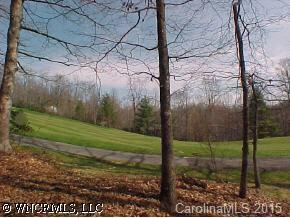 U08,L037 Connestee Trail #U8,L37, Brevard, NC 28712