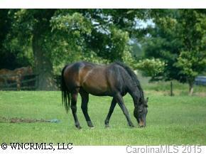 Lillian`s Lane, Spindale, NC 28160