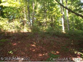 [Address Hidden by Seller], Saluda, NC 28773