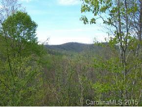 518 Blue Mist Way #L-166A, Asheville, NC 28803