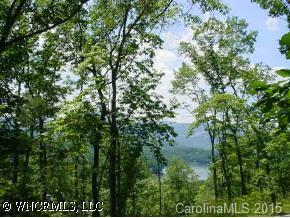 00 Buffalo Shoals Rd., Lake Lure, NC 28746
