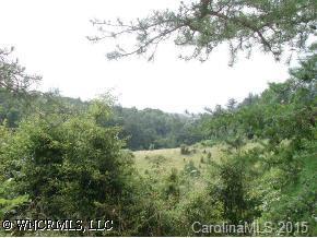 New Stock Rd., Weaverville, NC 28787