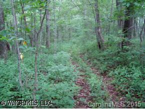Cataberry Ln., Burnsville, NC 28714