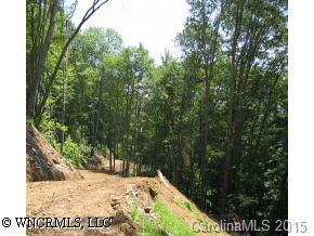 Off State Road 1395, Waynesville, NC 28785