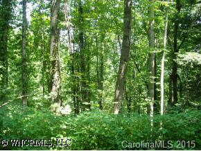 LOT #205 Smokey Ridge Loop, Waynesville, NC 28786