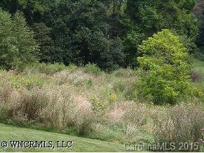 lot #5 Reinerston #5, Waynesville, NC 28786