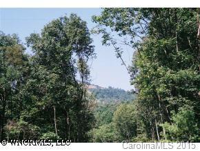 LOT 10 Lower Flat Creek Rd, Fairview, NC 28730