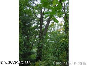48B Pinecroft Road, Asheville, NC 28804