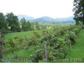 1016 Pleasent Grove Church Rd., Hendersonville, NC 28739