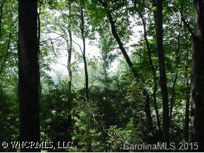L-9 Spring Meadow Drive, Pisgah Forest, NC 28768