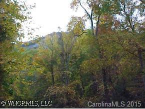 [Address Hidden by Seller], Lake Lure, NC 28746