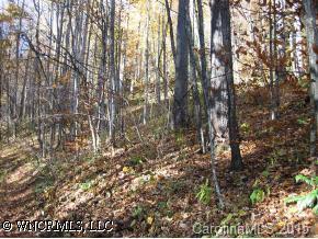 00 Forest Hill Road, Waynesville, NC 28785