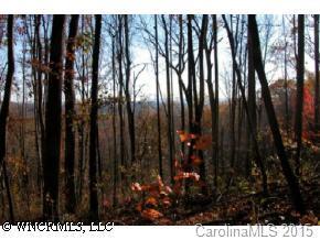 SR 1582 Off Old Clear Creek Road, Edneyville, NC 28739