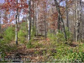 LOT 8 Lurewoods Manor Drive #Lot 8, Lake Lure, NC 28746