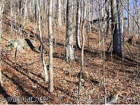 61 Jazaka Ridge Lane, Swannanoa, NC 28778