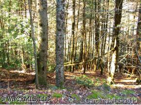 Lot 21 Smoky Hollow #21, Waynesville, NC 28785