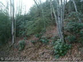 lot 5 Gold Anchor Ln #5, Black Mountain, NC 28711