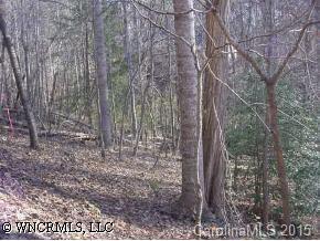Lot 35 Granny Smith Ln. #35, Lake Lure, NC 28746