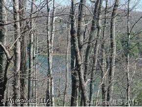 22/99 Catatoga Path #22/95, Brevard, NC 28712