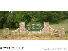 20 Parkway Forest, Sylva, NC 28779