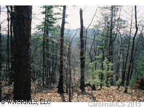 3C Tanglewood Tr., Lake Lure, NC 28746