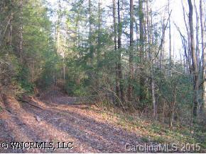 00 Clement Rd., Brevard, NC 28712