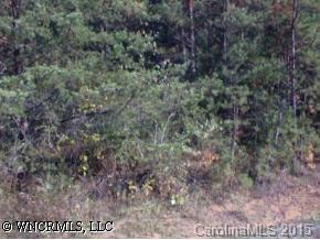 Lot 1 Southwoods Drive, Weaverville, NC 28787