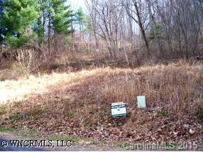 135 Spooks Branch Road, Asheville, NC 28804