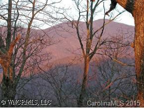 999 Mundy Cove Road, Weaverville, NC 28787