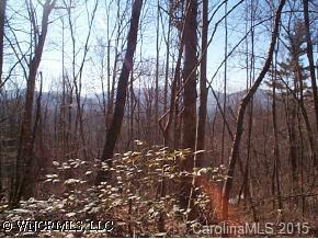 21 Annie Ln., Asheville, NC 28805