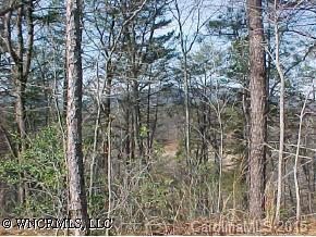 197 Lillians Dr., Lake Lure, NC 28746