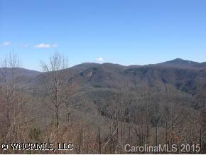 14 Songbird Court, Bat Cave, NC 28710