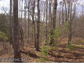 [Address Hidden by Seller], Rutherfordton, NC 28139