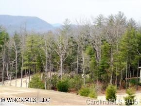 165 Shadowleaf Dr. #Wex#11, Hendersonville, NC 28739