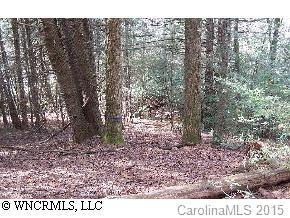 1 Thunder Road #202, Brevard, NC 28712