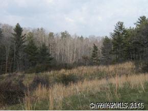 Lot 6 Hidden Meadows Drive #6, Weaverville, NC 28787