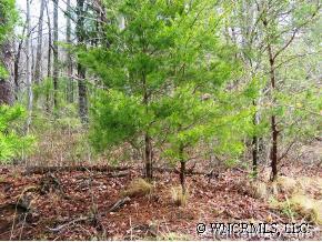 705 Ciccone Drive, Hendersonville, NC 28791