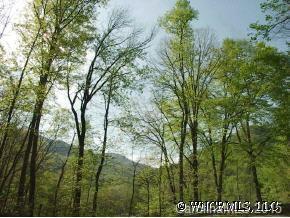 XXXX Highway 64, Bat Cave, NC 28710