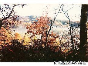 Morgan Hill Road, Black Mountain, NC 28711