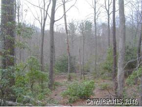 [Address Hidden by Seller], Fairview, NC 28730