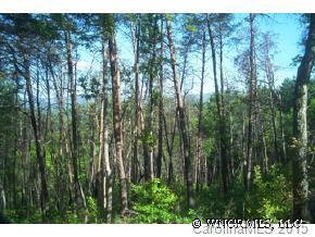 [Address Hidden by Seller], Asheville, NC 28805