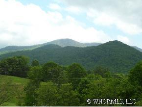 00 Phoenix Cove Road, Weaverville, NC 28787