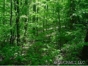 Lot 18 Travelers Rest #18, Lake Lure, NC 28746
