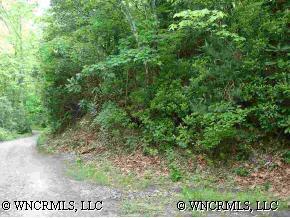 1165 Edney Inn Rd., Bat Cave, NC 28710