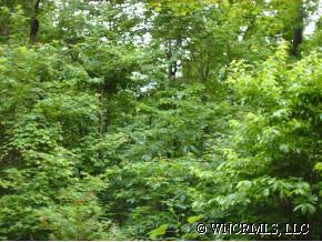 7 West Crabapple Lane, Asheville, NC 28804