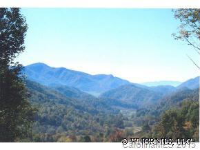 000 Max Patch Road, Clyde, NC 28721