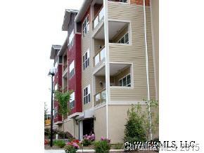 175 S. Lexington, 203 C, Asheville, NC 28801